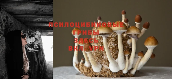 винт Бугульма