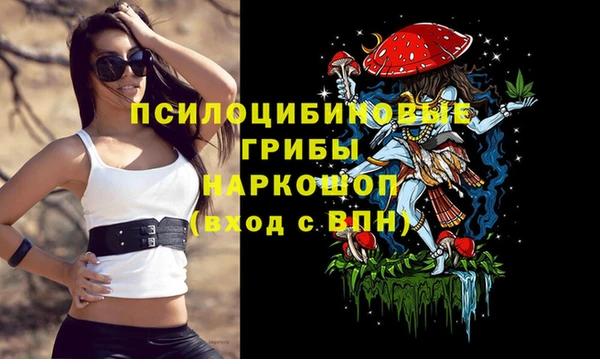 винт Бугульма